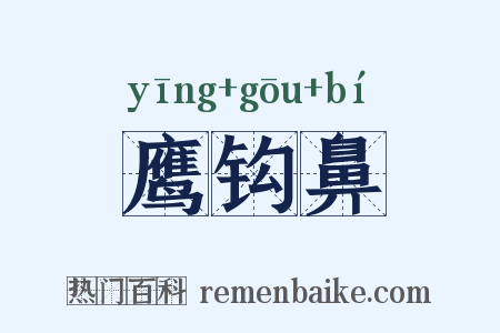 鹰钩鼻是什么意思的图片